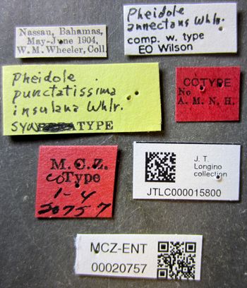 Media type: image;   Entomology 20757 Aspect: labels